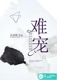 《难宠》小说封面