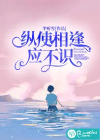 《纵使相逢应不识!》小说封面