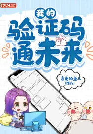 《我的验证码通未来》小说封面