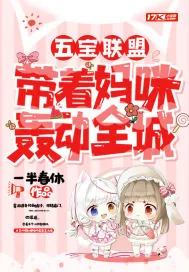 《五宝联盟:带着妈咪轰动全城》小说封面