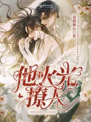 《他比火光撩人》小说封面