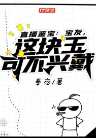 《直播鉴宝：宝友，这块玉可不兴戴》小说封面