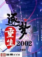 《重生逐梦2002》小说封面