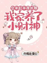 《空米缸半夜长粮,我家养了小财神》小说封面