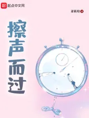 《擦声而过》小说封面