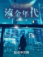 《1993之流金年代》小说封面