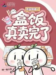 《顶流别追了，盒饭真卖完了》小说封面