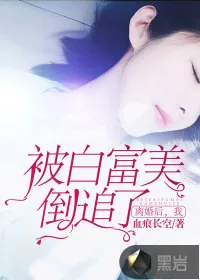 《离婚后,我被白富美倒追了》小说封面