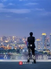 《重生在2004年开始》小说封面