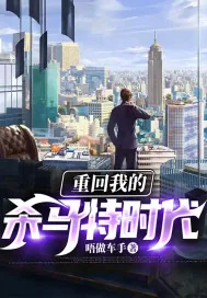 《重回我的杀马特时代》小说封面
