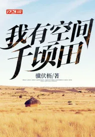 《我有空间千顷田》小说封面