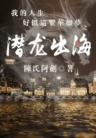 《我的人生好似这繁华如梦》小说封面