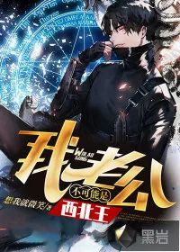 《我老公不可能是西北王》小说封面