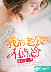 《我的老公有点冷》小说封面