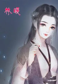 《林暖》小说封面