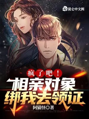 《疯了吧，相亲对象绑我去领证》小说封面
