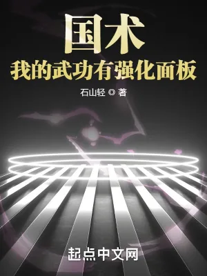 《国术!我的武功有强化面板》小说封面