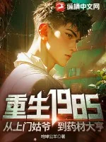 《重生1985，从上门姑爷到药材大亨》小说封面