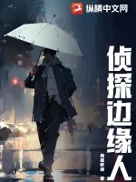 《侦探边缘人》小说封面
