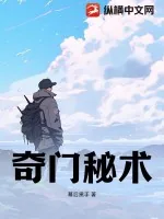 《奇门秘术》小说封面