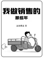 《我做销售的那些年》小说封面
