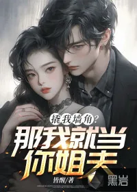 《撬我墙角?那我就当你姐夫!》小说封面