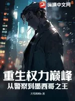 《重生权力巅峰：从警察到墨西哥之王》小说封面