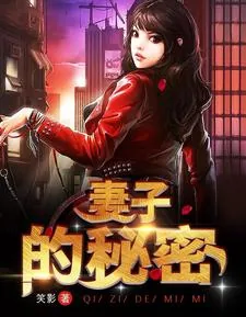 《妻子的秘密》小说封面