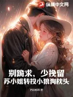 《别跪求,少挽留,苏小姐转投小狼狗枕头》小说封面