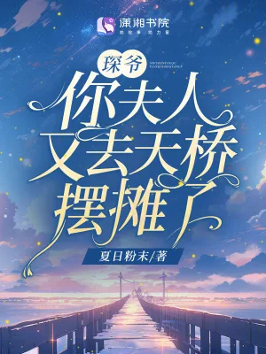《琛爷，你夫人又去天桥摆摊了》小说封面