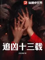《追凶十三载》小说封面