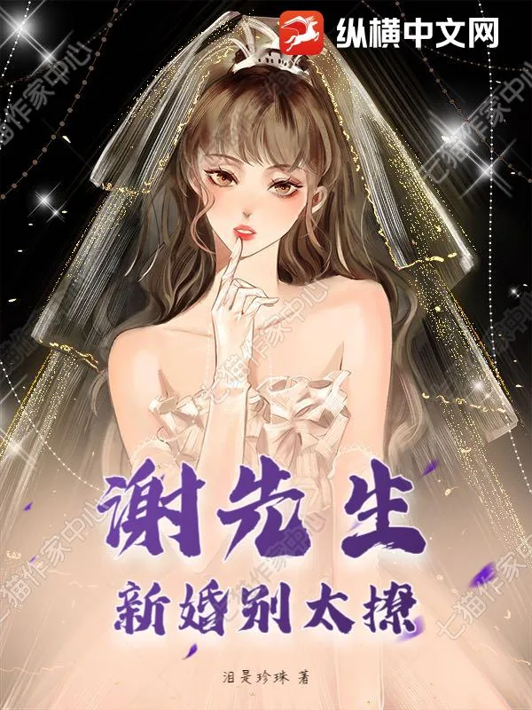 《谢先生,新婚别太撩!》小说封面