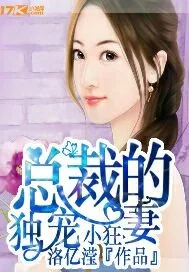 《总裁的独宠小狂妻》小说封面