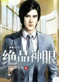 《绝品神眼》小说封面
