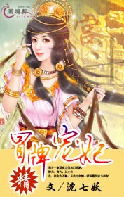 《冒牌宠妃》小说封面