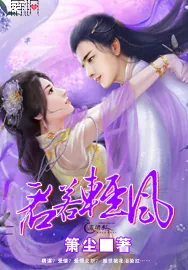《君若轻风》小说封面