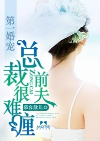 《第一婚宠:总裁前夫很难缠》小说封面