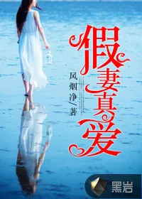 《假妻真爱》小说封面