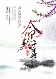 《紫虚幻世录之轮回忆》小说封面