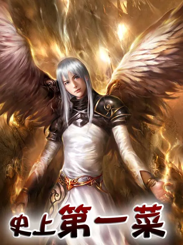 《史上第一菜》小说封面