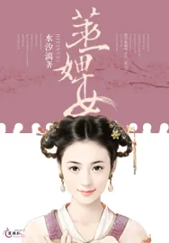 《第一婢女》小说封面