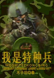 《我是特种兵2》小说封面