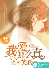《我爱那么真,你却笑我疯》小说封面