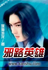 《邪路英雄》小说封面