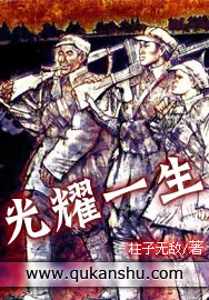 《光耀一生》小说封面
