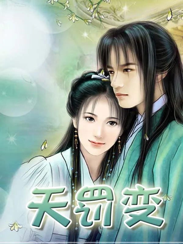 《天罚变》小说封面