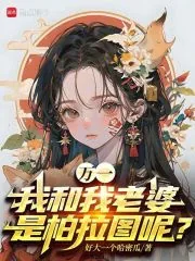 《万一我和我老婆是柏拉图呢？》小说封面