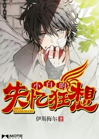 《小白的失忆狂想》小说封面