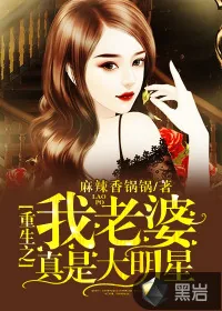 《重生之我老婆真是大明星》小说封面