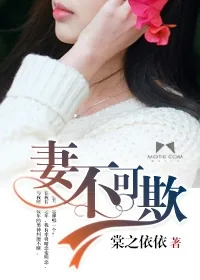 《妻不可欺》小说封面